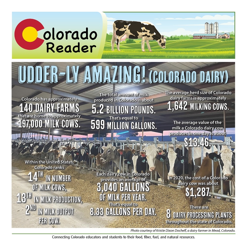 Colorado Reader: Udder-ly Amazing Colorado Dairy